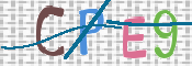CAPTCHA 驗證圖片