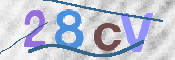 CAPTCHA 驗證圖片