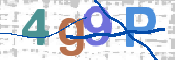 CAPTCHA 驗證圖片