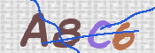 CAPTCHA 驗證圖片