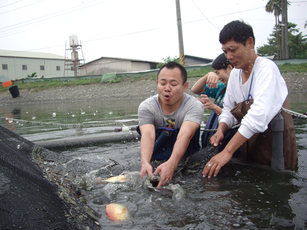 抓魚