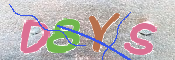 CAPTCHA 驗證圖片