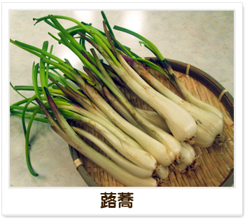 蕗蕎副作用 Enercell